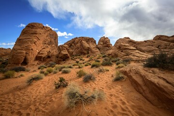 Rainbow Vista, red sandstone rocks, Mojave desert, sandstone formation, Valley of Fire State Park, Nevada, USA, North America