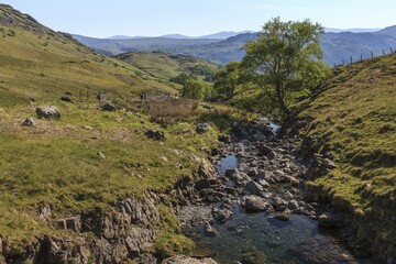 Mountain stream on the Honister Pass in Borrowdale, Lake District National Park, Cumbria, England, United Kingdom, Europe