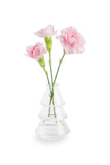 Three beautiful elegant carnation flowers of pastel pink colour with green stem in glass vase isolated on white background prepared as bouquet gift for celebration of birthday or wedding greeting