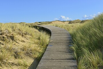 Boarded footpath in the dune area, Amrum, North Frisian Island, North Frisia, Schleswig-Holstein, Germany, Europe