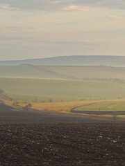 A landscape with a mountain in the background