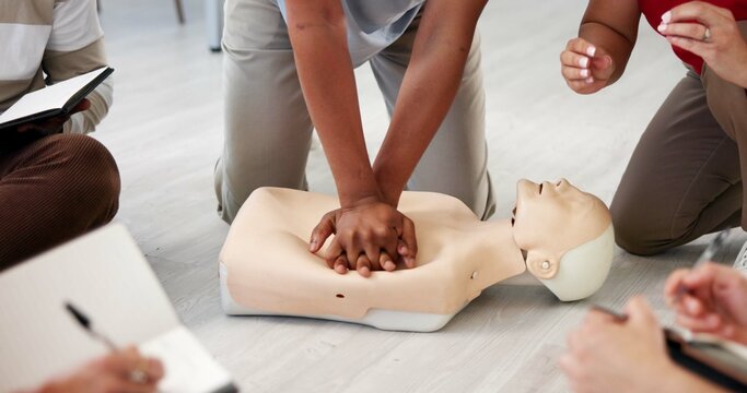 People, dummy or hands in office for CPR, first aid workshop or chest compression lesson. Colleagues, emergency practice or mannequin in agency for life saving procedure, notes or employee engagement