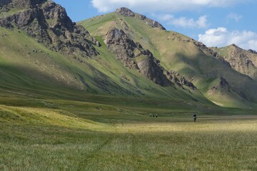 Horsemen riding in Kurumduk valley, Naryn province, Kyrgyzstan, Asia
