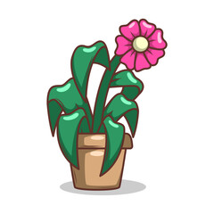 Home plant cartoon style. potted plant isolated on white