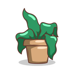Home plant cartoon style. potted plant isolated on white