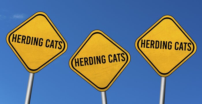 Herding cats, yellow signs with blue sky
