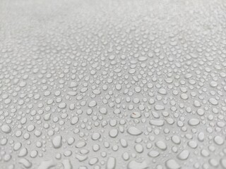 Water droplet on a gray background