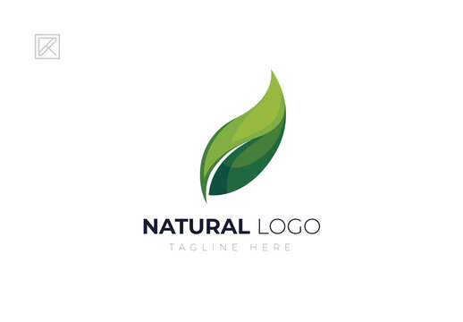 Natural Leaves Logo Design Template