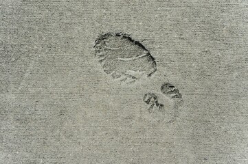 Footprint in concrete, Florida, United States, USA, North America