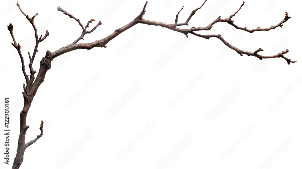 Aufkleber the image shows a single, bare tree branch with many small twigs, curving gracefully against a compl