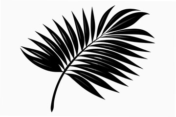 Fototapeta premium palm leaf silhouette vector