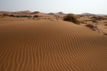 Sand dunes in Namib Desert, Namib-Naukluft National Park, Sossusvlei, Namibia, Africa