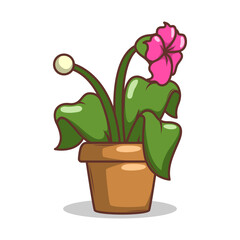 Home plant cartoon style. potted plant isolated on white