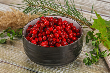 Natural organic wild forwst lingonberry