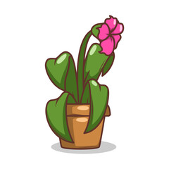 Home plant cartoon style. potted plant isolated on white