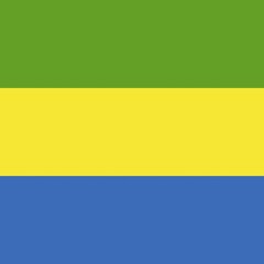 Official national flag of Gabon