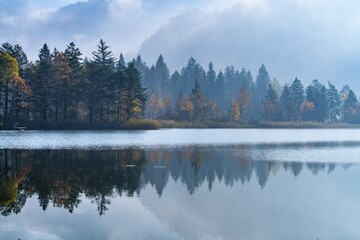 Morning fog in autumn at Lake Schwansee, Füssen, Ostallgäu, Bavaria, Germany, Europe
