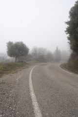 Fototapeta premium Vertical photograph of a rural road that is lost in the fog, some trees can be distinguished and then the landscape is lost in mystery.