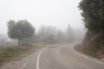 horizontal photograph of a rural road that is lost in the fog, some trees can be distinguished and then the landscape is lost in mystery.