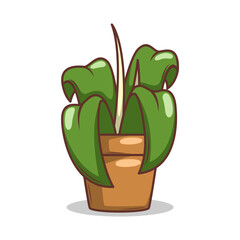 Home plant cartoon style. potted plant isolated on white