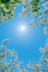 Fototapeta premium Springtime Blossoms Against a Vibrant Blue Sky
