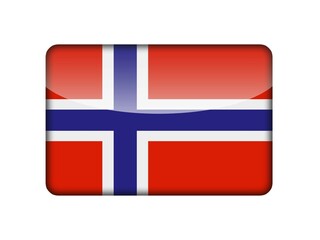 Obraz premium The Norwegian flag in the form of a glossy icon