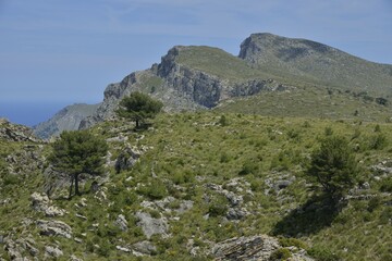 Landscape in the Parc Natural Peninsula de Llevant, near Arta, Majorca, Balearic Islands, Spain, Europe