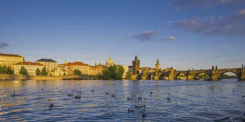 Mute Swans (Cygnus olor) on the Vltava River, Charles Bridge with Old Town Bridge Tower, Morning Mists, Prague, Bohemia, Czech Republic, Europe