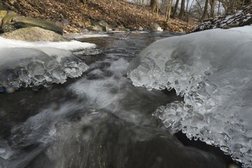 Frozen banks of a brook, Drusel, Hesse, Germany, Europe