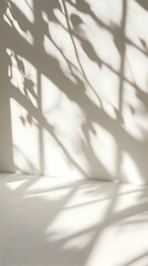 Sunlight shadows wall, room, background, mockup