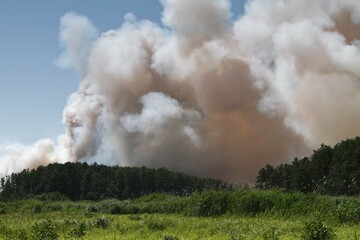 Fototapeta premium Fire on a grain field near Tutow, Nature Park Peental, Mecklenburg-Western Pomerania, Germany, Europe