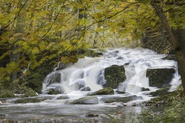 Selke Waterfall, autumn forest, Selketal, Südharz, Lower Saxony, Germany, Europe