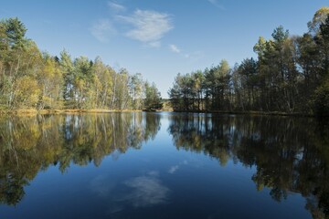 The source of the Neckar River, Schwenninger Moos Nature Reserve, Baden-Württemberg, Germany, Europe