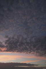 Fleecy clouds, altocumulus, in the evening sky, Germany, Europe