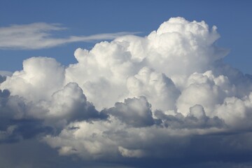 Cloud formation in the blue sky, cluster clouds, cumulus clouds, Schleswig-Holstein, Germany, Europe
