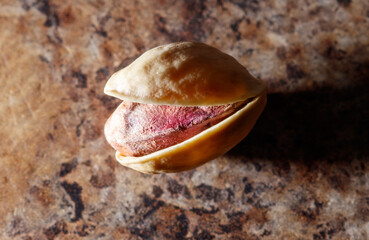 A nut is shown with its shell open, revealing a pink interior