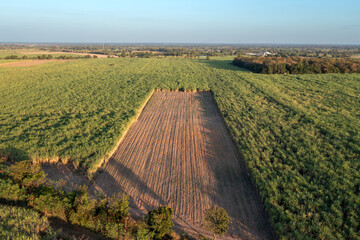 Aerial View of Sugar Cane Field Under Clear Blue Sky Landscape