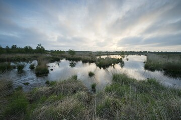 Fototapeta premium Moorland at dawn, Emsland, Lower Saxony, Germany, Europe