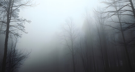 Obraz premium Eerie fog-covered forest – Dark tree silhouettes, misty depth, moody grayscale atmosphere