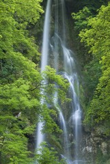 Uracher Wasserfall waterfall, Swabian Alb, Baden-Wuerttemberg, Germany, Europe