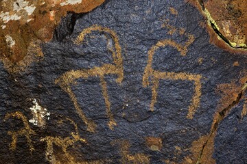 Petroglyphs of Siberian ibex (Capra sibirica), up to 2500 years old, West Karakol Valley, Tien Shan Mountains, Naryn region, Kyrgyzstan, Asia
