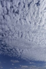 Large Sheep Clouds, Altocumulus, Bavaria, Germany, Europe