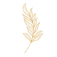 Branch linear sketch illustration