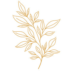 Branch linear sketch illustration