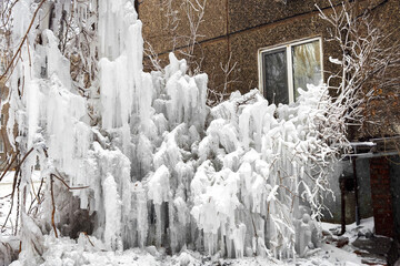 Utility system accident concept, frozen water on tree branches in the yard of a house. Falling and freezing on the plants splashes of hot water from a broken pipe, breackthrough.