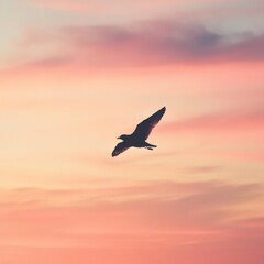 Naklejka premium Silhouette of a Bird Soaring in a Pastel Sunset Sky