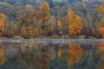 Colourful autumn trees at Pfuhler See, near Neu-Ulm, Bavaria, Germany, Europe