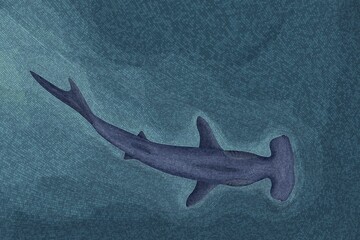 Hammerhead shark graphic mosiac wallpaper, editable vector illustration