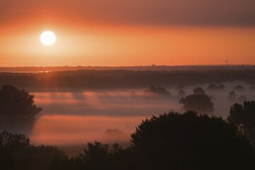 Sunrise, Meerbruch meadows, Lake Steinhude, Lower Saxony, Germany, Europe