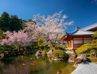 Naklejka premium Generated image 春の日本庭園